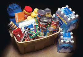 Emergency kit bag containing first aid, torch, food and documents